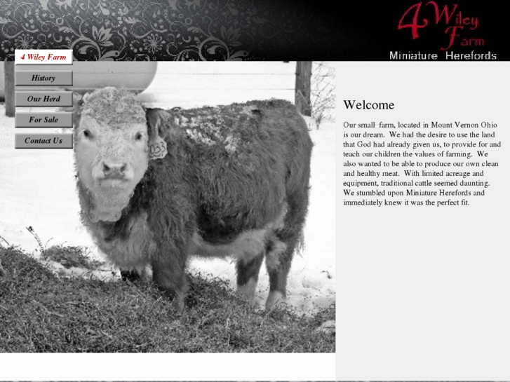 www.4wileyfarm.com