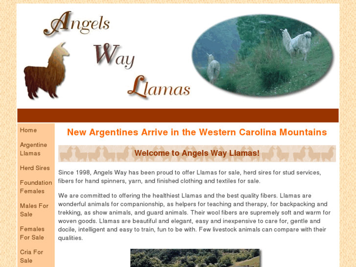 www.angelswayllamas.com