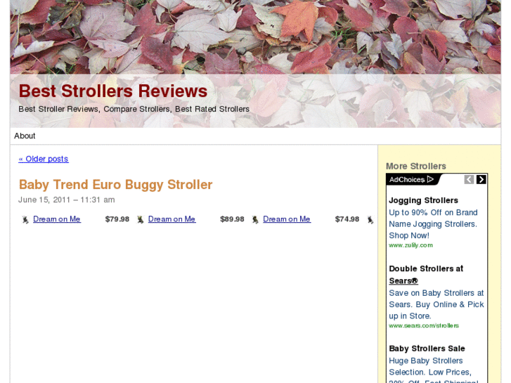 www.beststrollersreviews.com