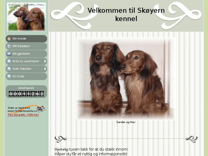 www.dachsnytt.net