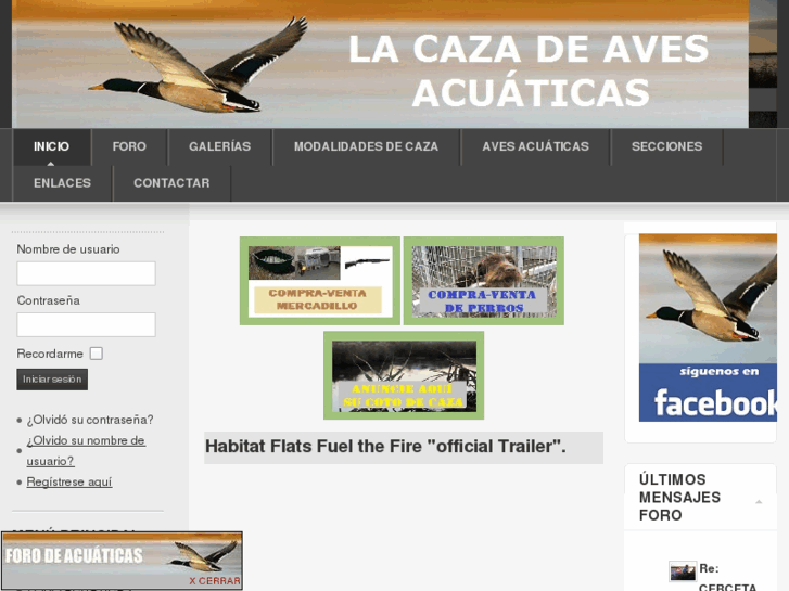 www.cazaacuaticas.com