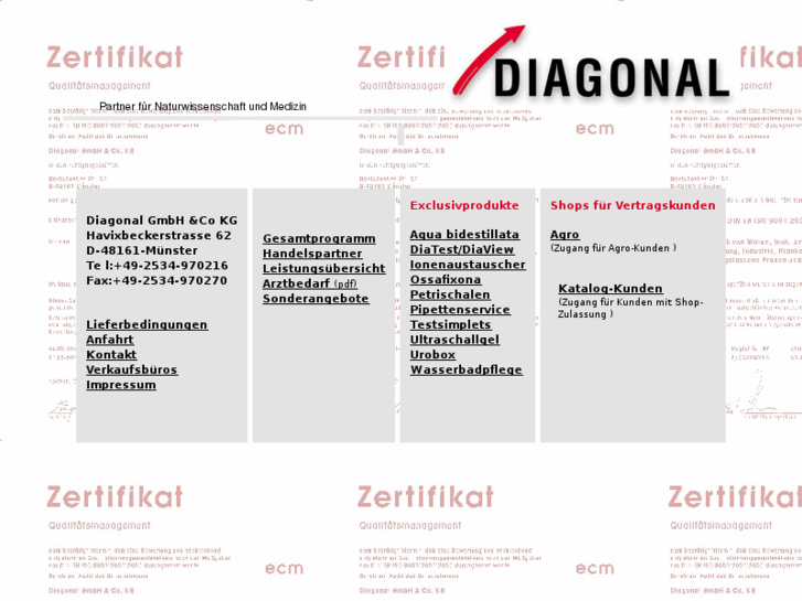 www.diagonal-gmbh.org