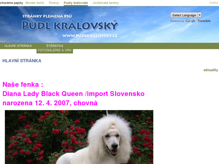 www.pudlkralovsky.cz