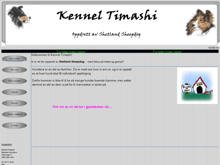 www.timashi.com