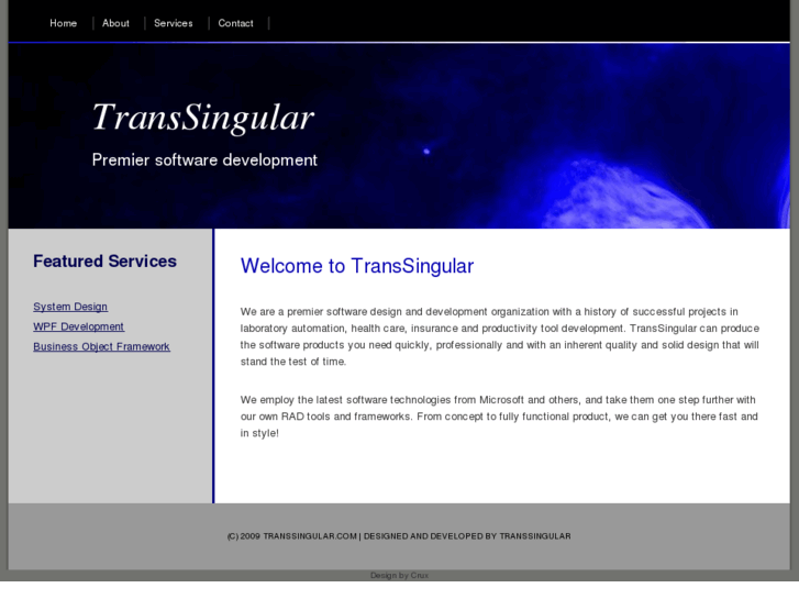 www.transsingular.com