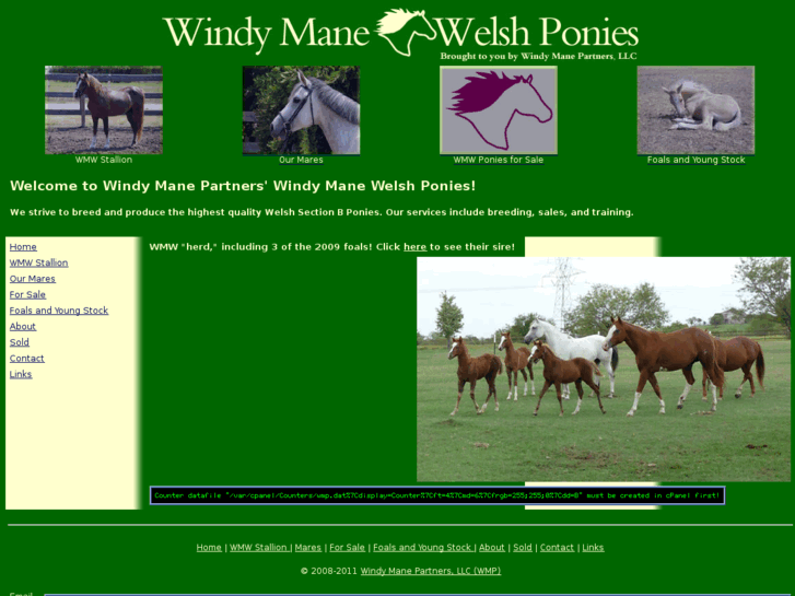 www.windymanewelsh.com