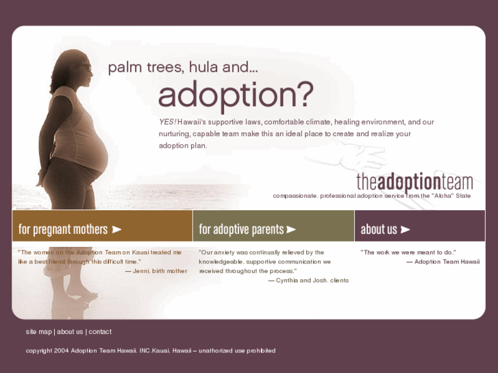 www.adoptionteam.com