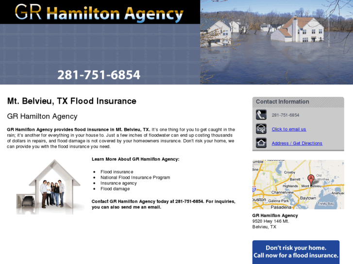 www.hamiltoninsurancetx.com