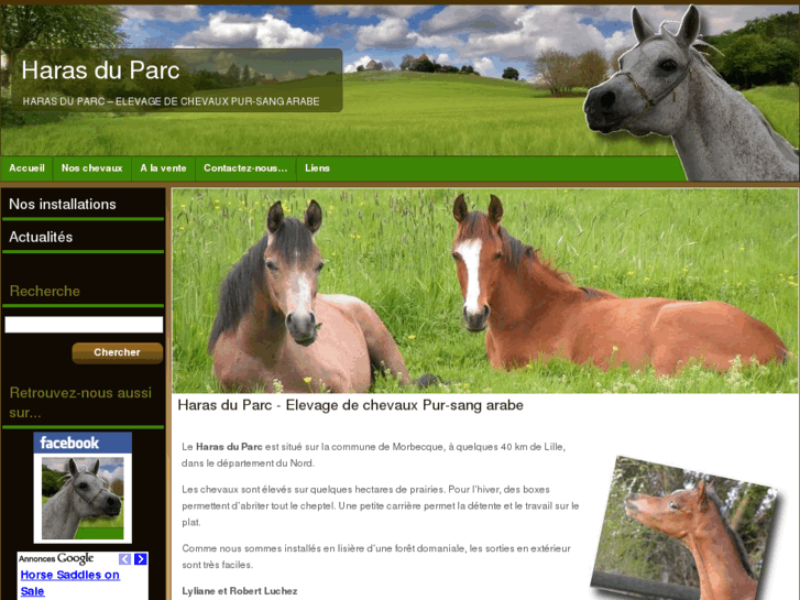 www.haras-du-parc.com