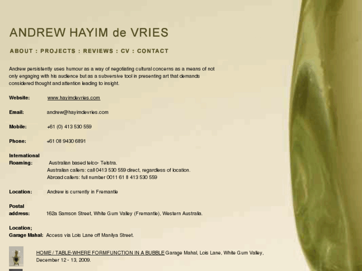 www.hayimdevries.com