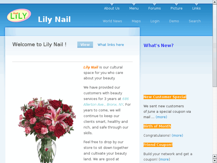 www.lilynailsalon.com