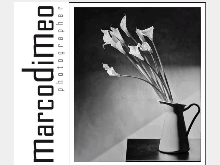 www.marcodimeo.net
