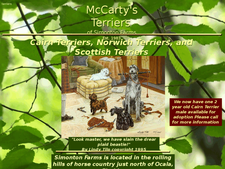 www.mccartysterriers.com