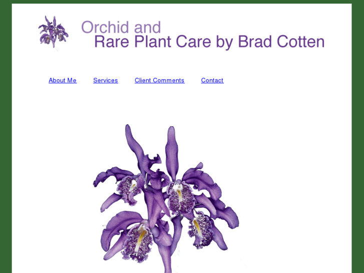 www.orchidandrareplantcare.com