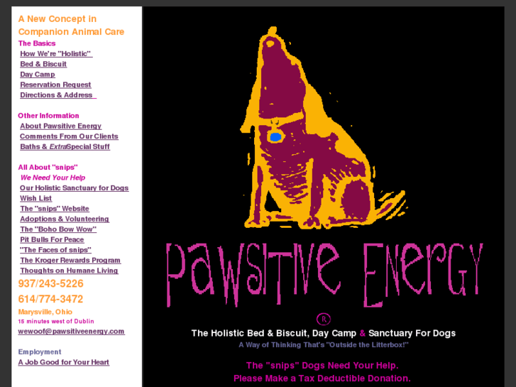 www.pawsitiveenergy.com