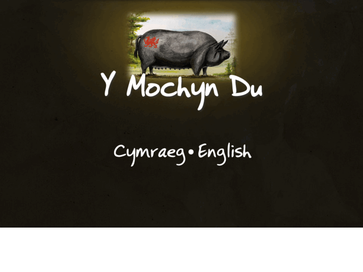 www.ymochyndu.com