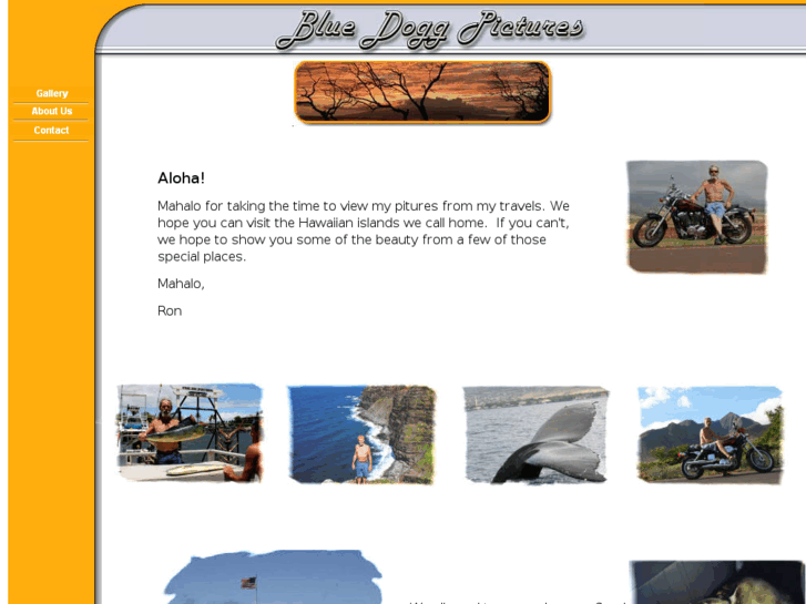 www.bluedoggpictures.com