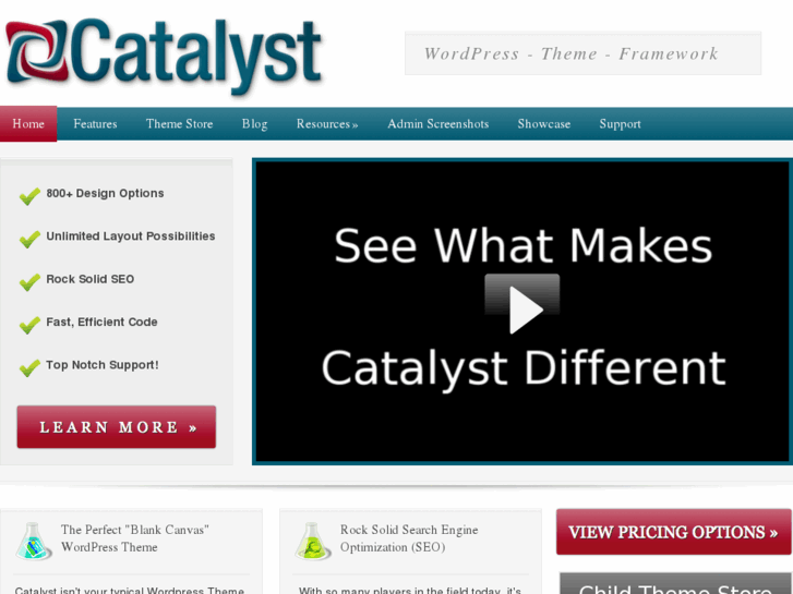 www.catalyst-seo.com