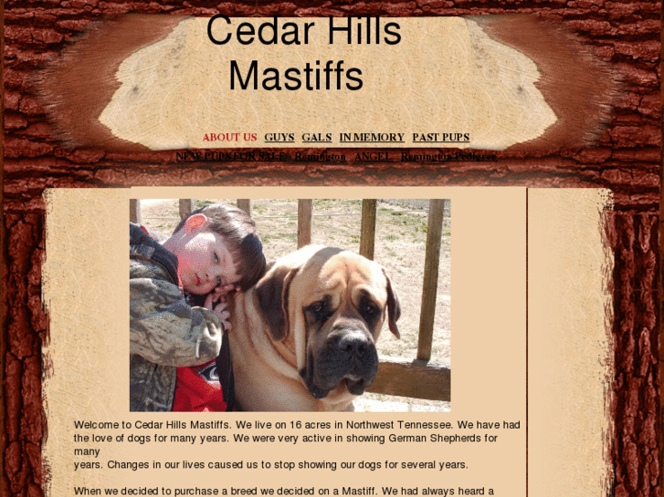 www.cedarhillsmastiffs.com