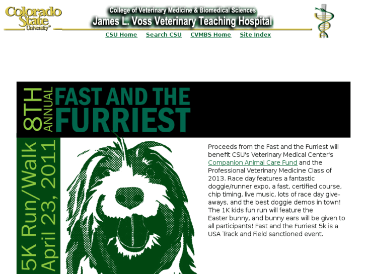 www.fastandthefurriest.com