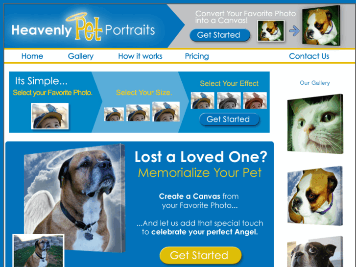 www.heavenlypetportraits.com