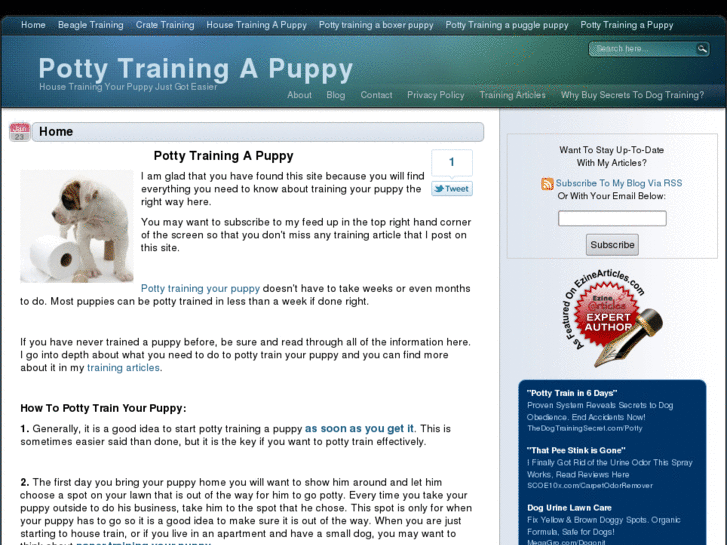 www.potty-training-a-puppy.com