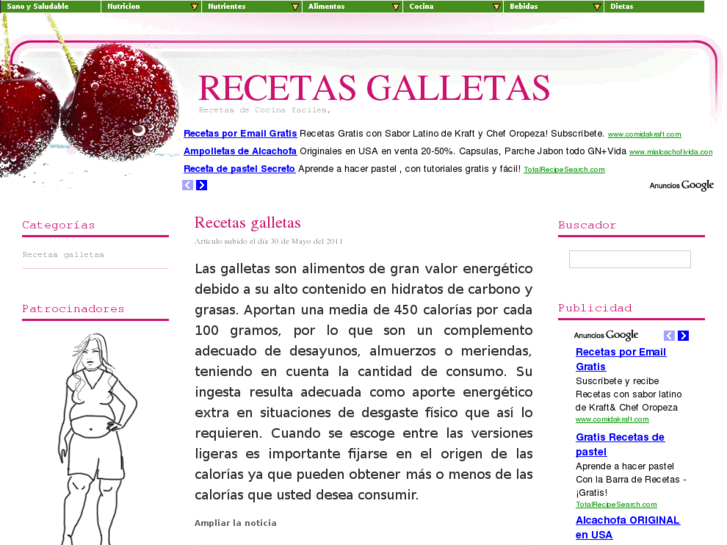 www.recetasgalletas.com