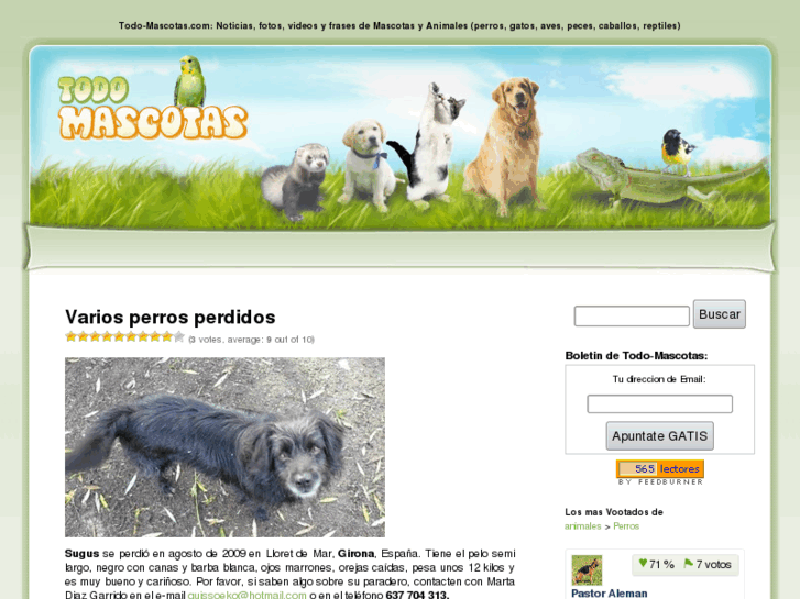 www.todo-mascotas.com