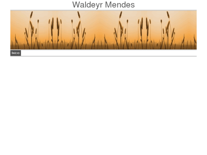 www.waldeyrmendes.com