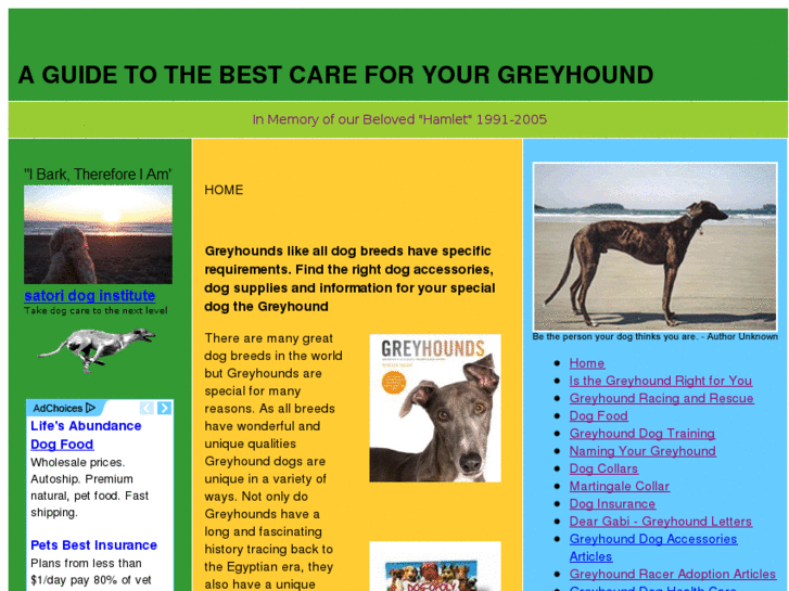 www.1st-greyhound-dog-care.com