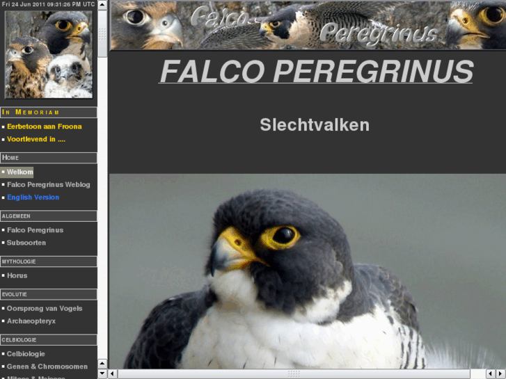 www.falcoperegrinus.org