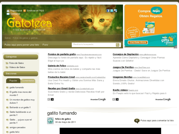 www.gatoteca.com