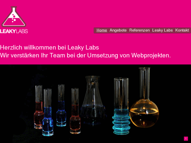 www.leakylabs.com