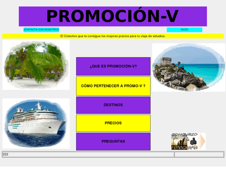 www.promocion-v.com