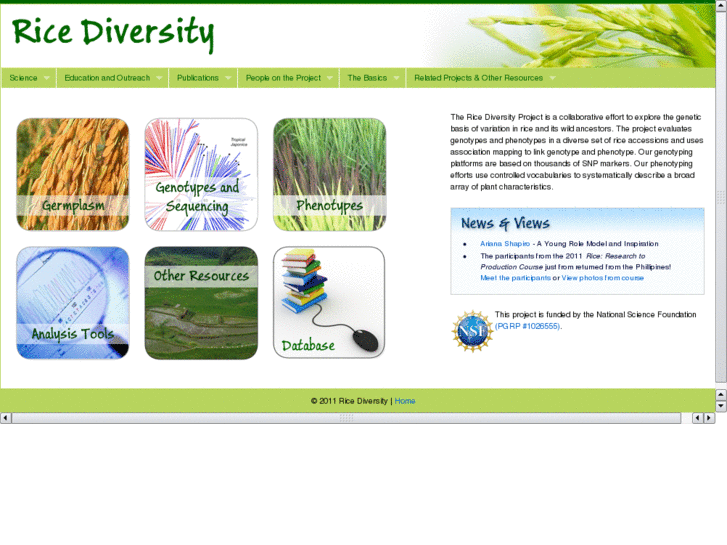 www.ricediversity.org