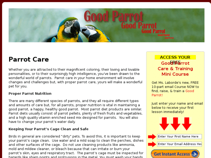 www.goodparrot.com