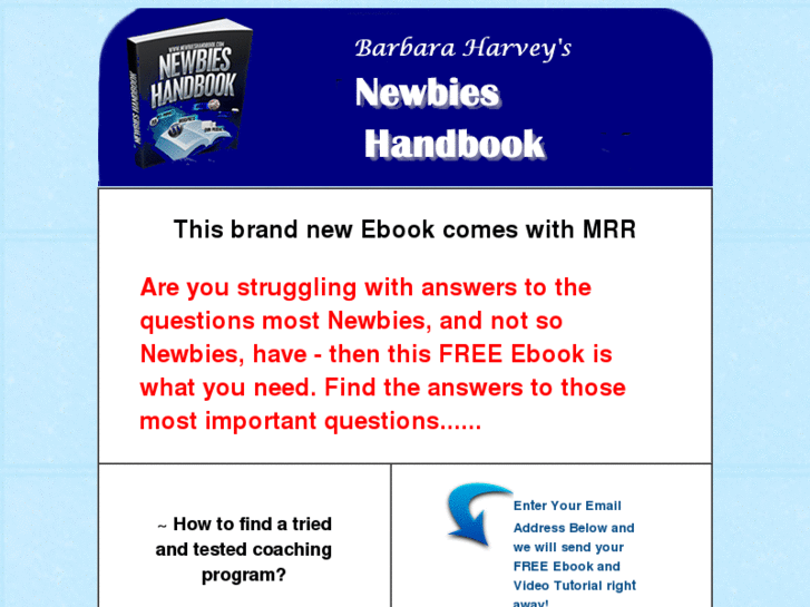 www.newbieshandbook.com