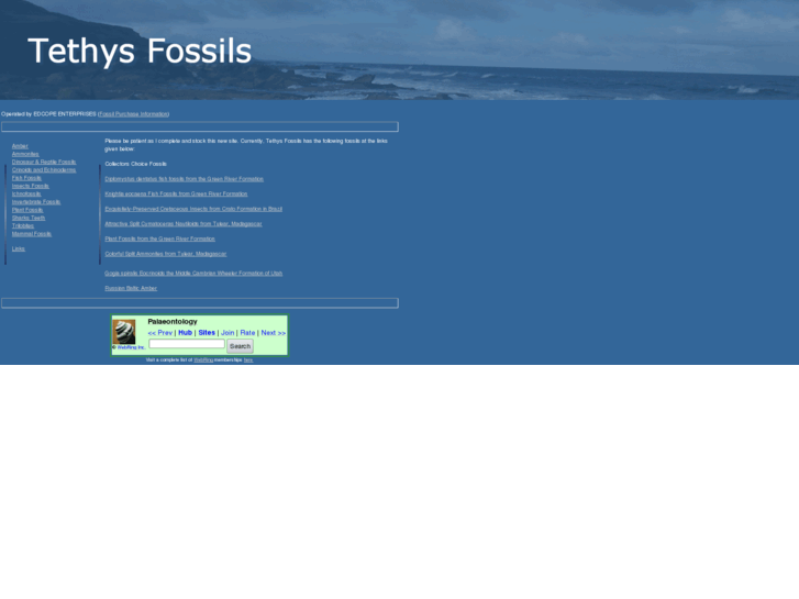 www.tethysfossils.com