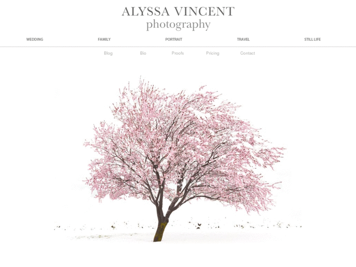 www.alyssavincent.com