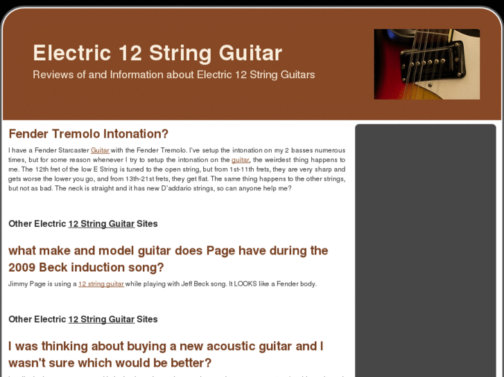 www.electric12stringguitar.org