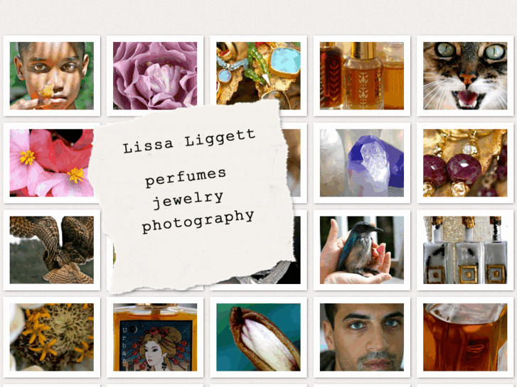 www.lissaliggett.com