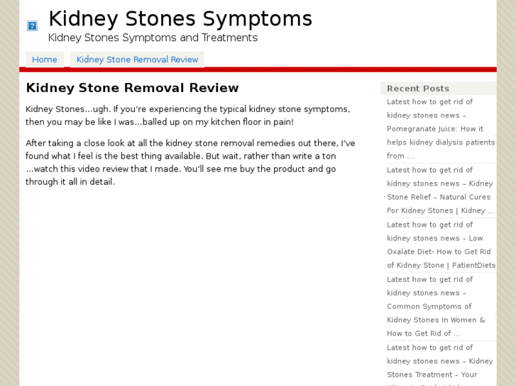 www.mykidneystonesymptoms.com