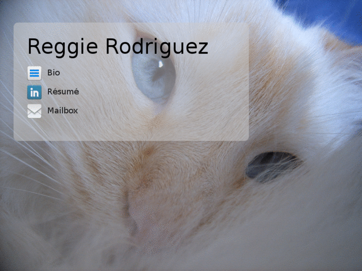 www.reggierodriguez.com