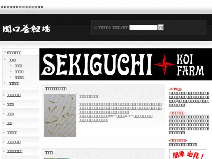 www.sekiguchishowa.com