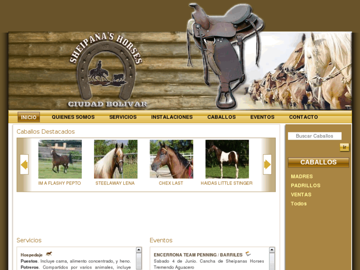 www.sheipanashorses.com