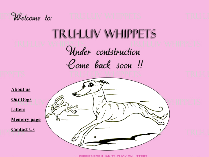 www.truluvwhippets.com