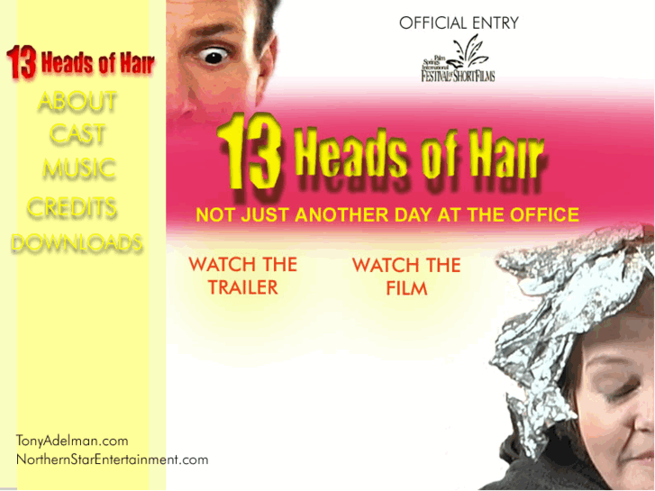 www.13headsofhair.com