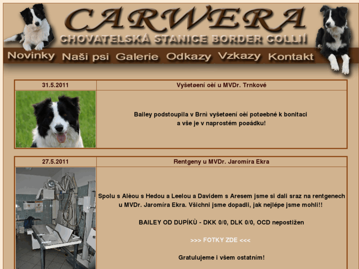 www.carwera.com