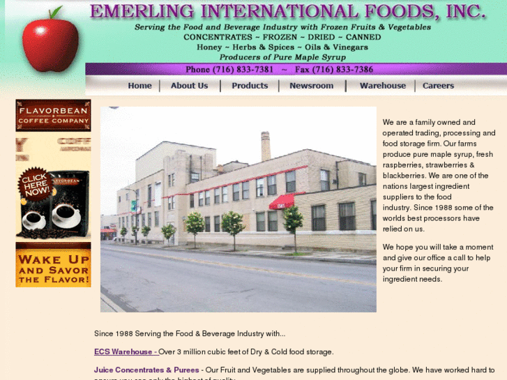 www.emerlinginternational.com