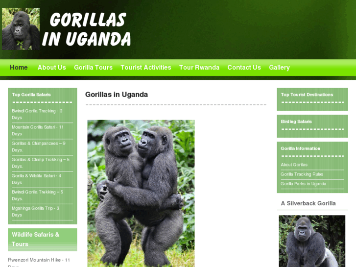 www.gorillasinuganda.com